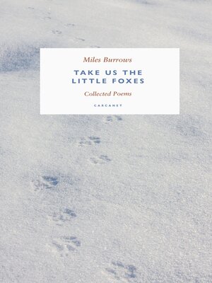cover image of Take us the Little Foxes